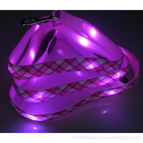 LED Dog Collar and Leash